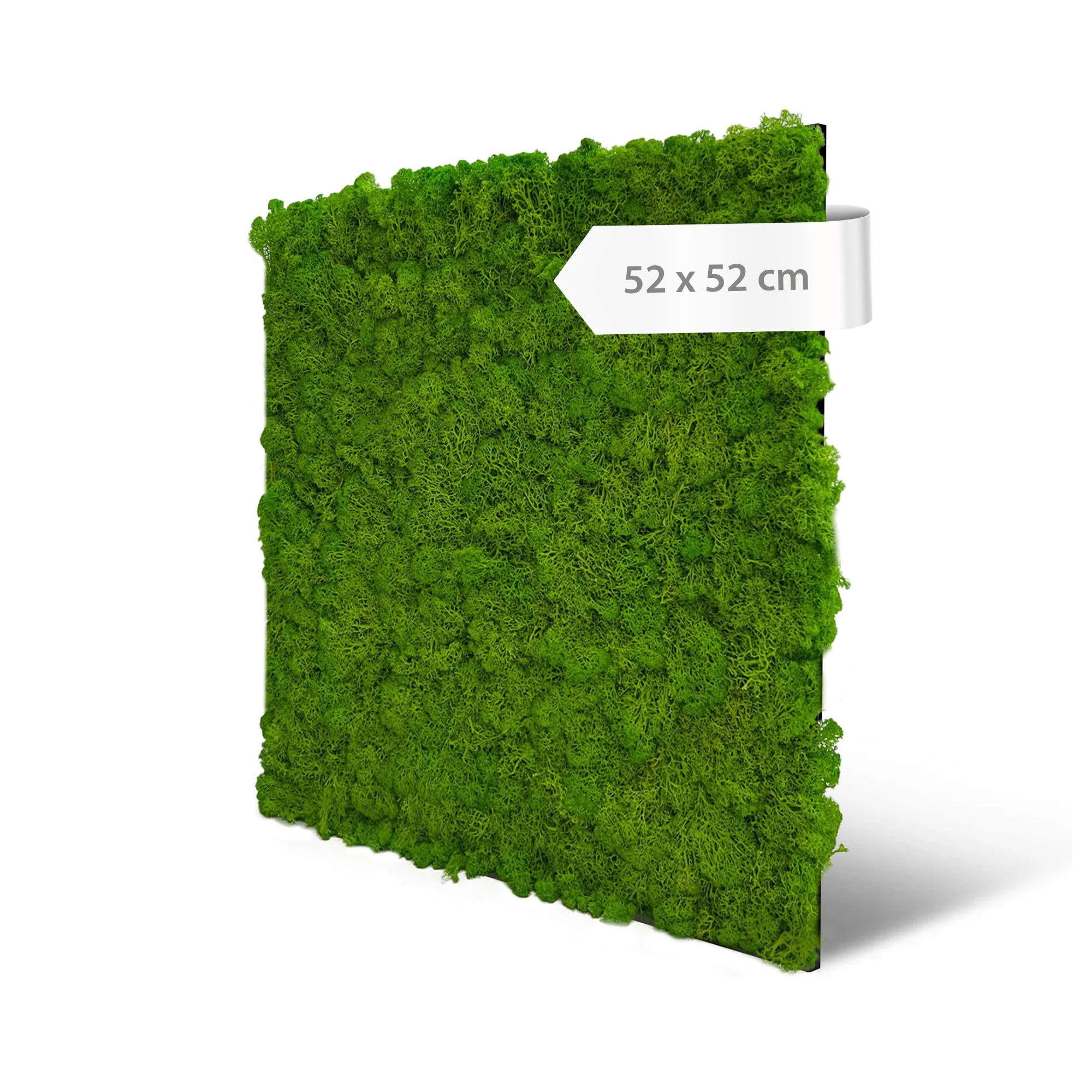 a-s-cr-ation-tapeten-modular-wall-echtmoos-paneel-hellgr-n-52cm image 1