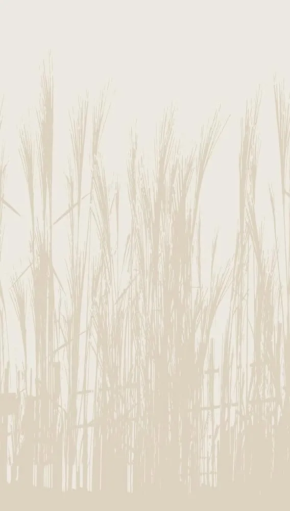 a-s-cr-ation-fototapeten-398781-fototapete-blumen-beige-1-59x2-80-m image 1