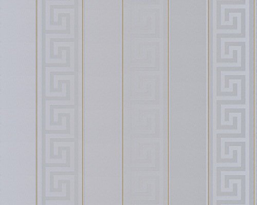 a-s-cr-ation-versace-935245-vliestapete-grau-gold-10-05x0-70-m image 6