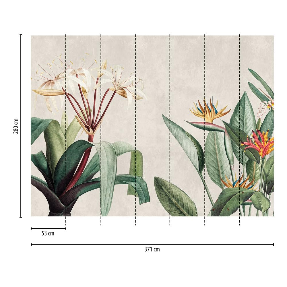 a-s-cr-ation-livingwalls-399171-fototapete-dschungel-3-71m image 3