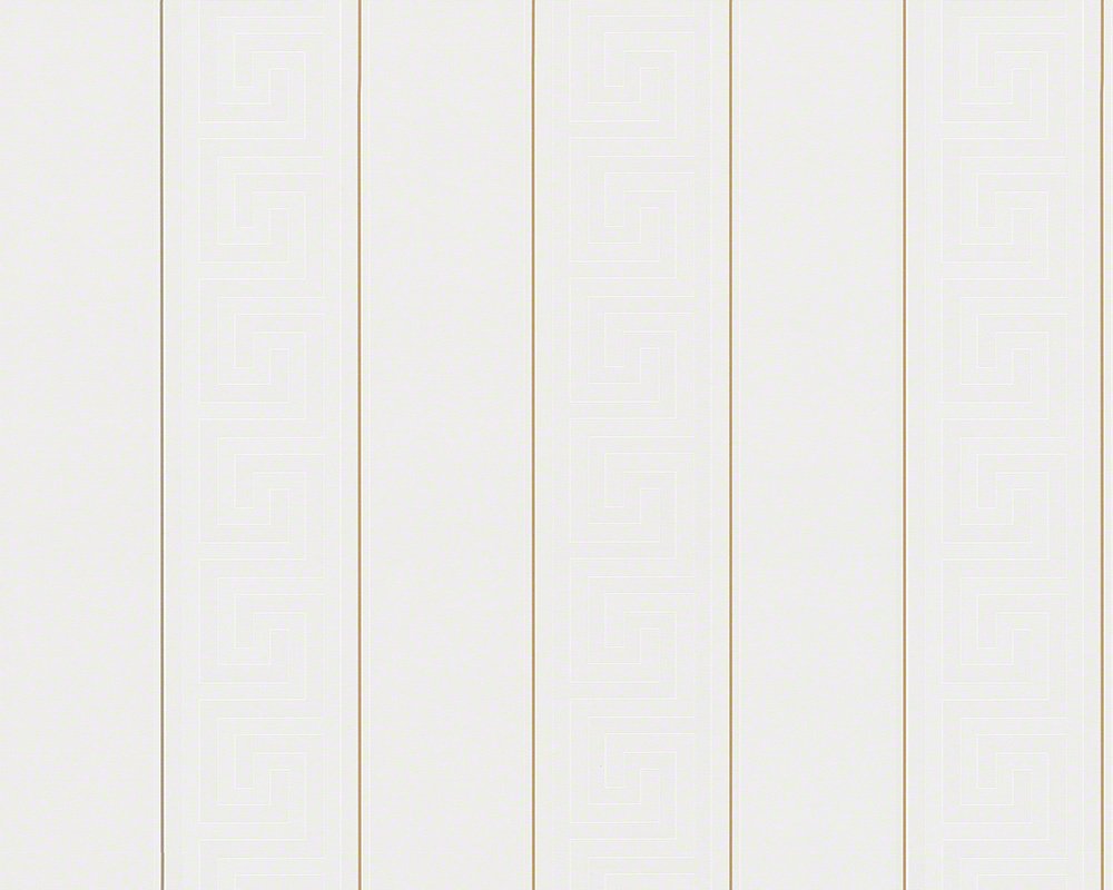a-s-cr-ation-versace-935241-vliestapete-gold-white image 1