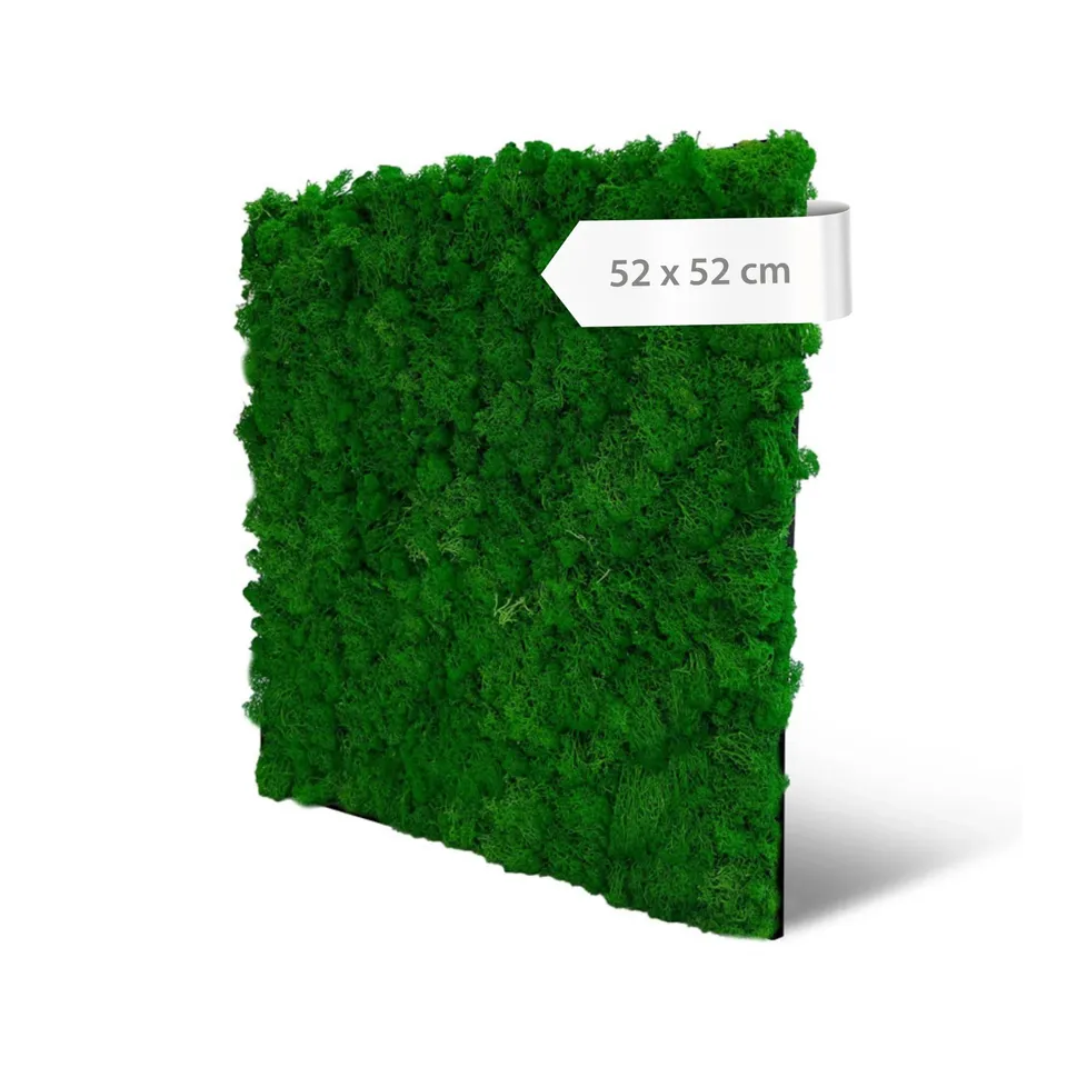 a-s-cr-ation-modular-wall-mooswandpaneel-nature-green-52x52-cm image 1