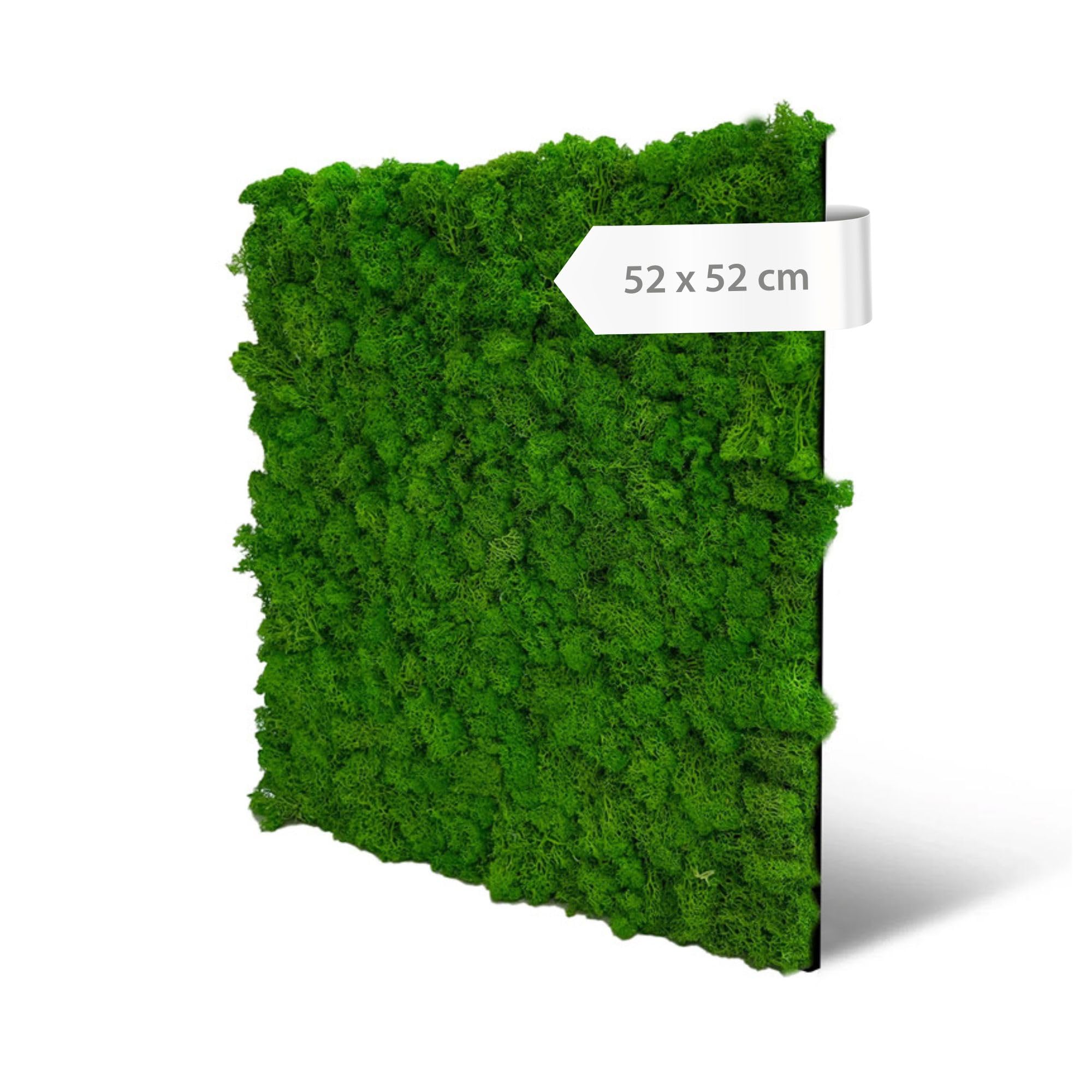 a-s-cr-ation-modular-wall-mooswandpaneel-rich-green-echtmoos-52x52 image 1