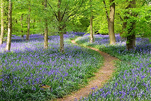 a-s-cr-ation-fototapeten-flowers-in-forest-tapete-4x2-67m-gr-n image 3