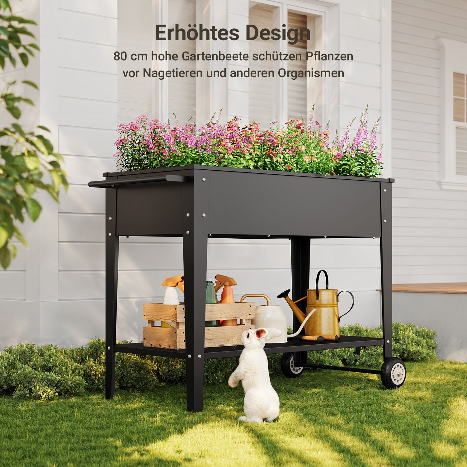 bealife-cc25-hochbeet-gartenwagen-schwarz-104x41-rollen image 6