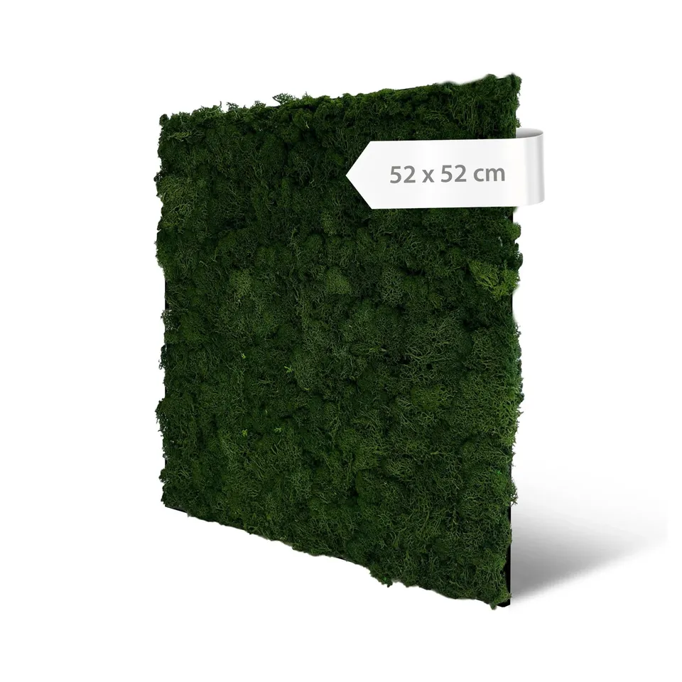 a-s-cr-ation-modular-wall-echtmoos-wandpaneel-52x52-dark-green image 1