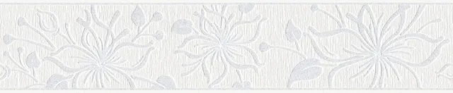 a-s-cr-ation-only-borders-11-346636-bord-re-wei image 1