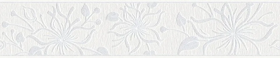 a-s-cr-ation-only-borders-11-346636-bord-re-wei image 1