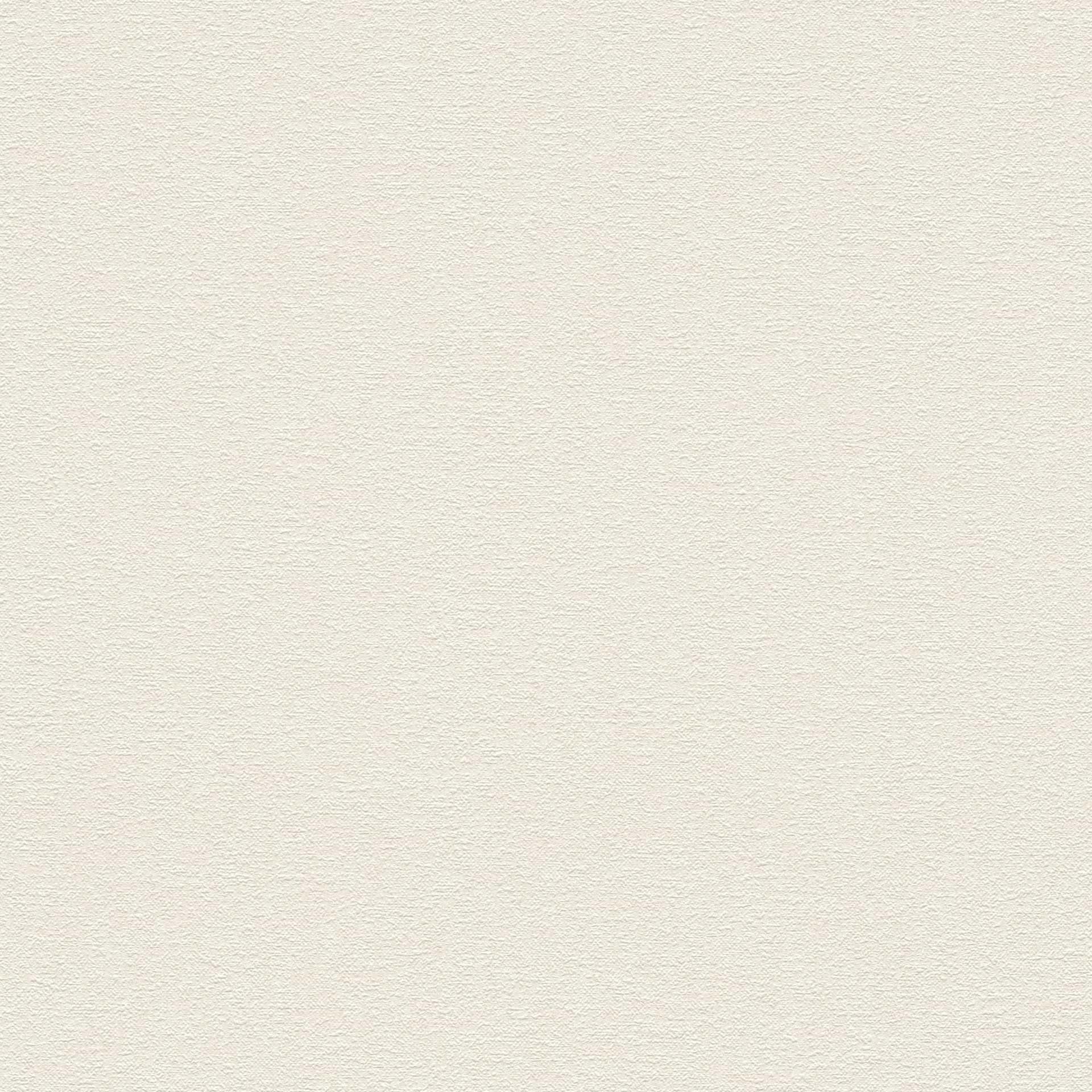 a-s-cr-ation-uni-vliestapete-creme-10-05x0-53-m-strukturiert image 2