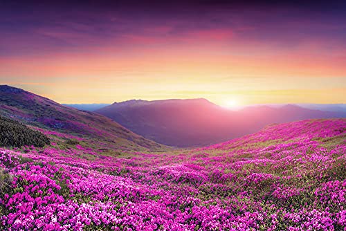a-s-cr-ation-fototapeten-mountain-meadow-fototapete-4-00x2-67m image 3