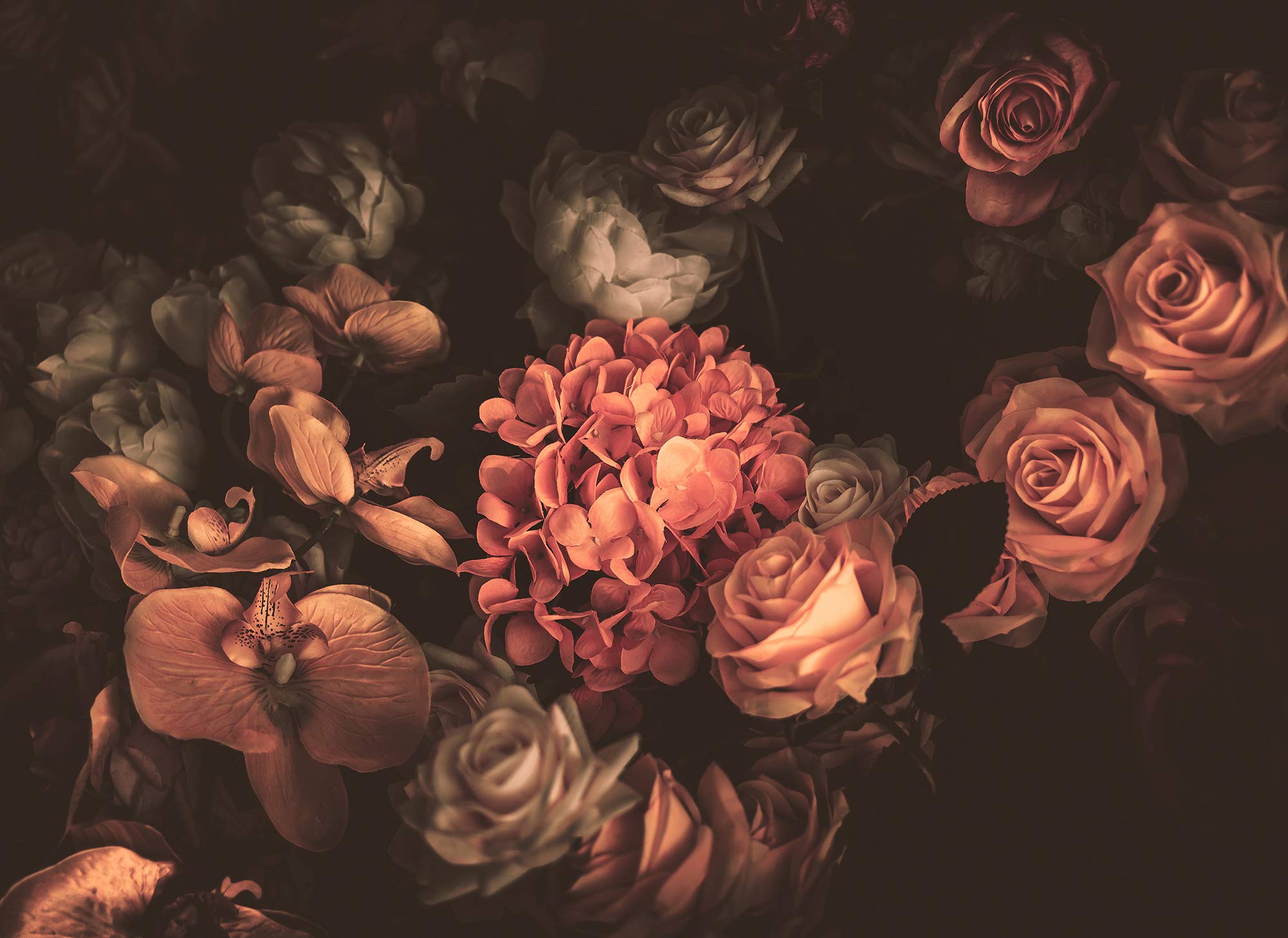 a-s-cr-ation-designwalls-fototapete-romantic-flowers-creme image 4