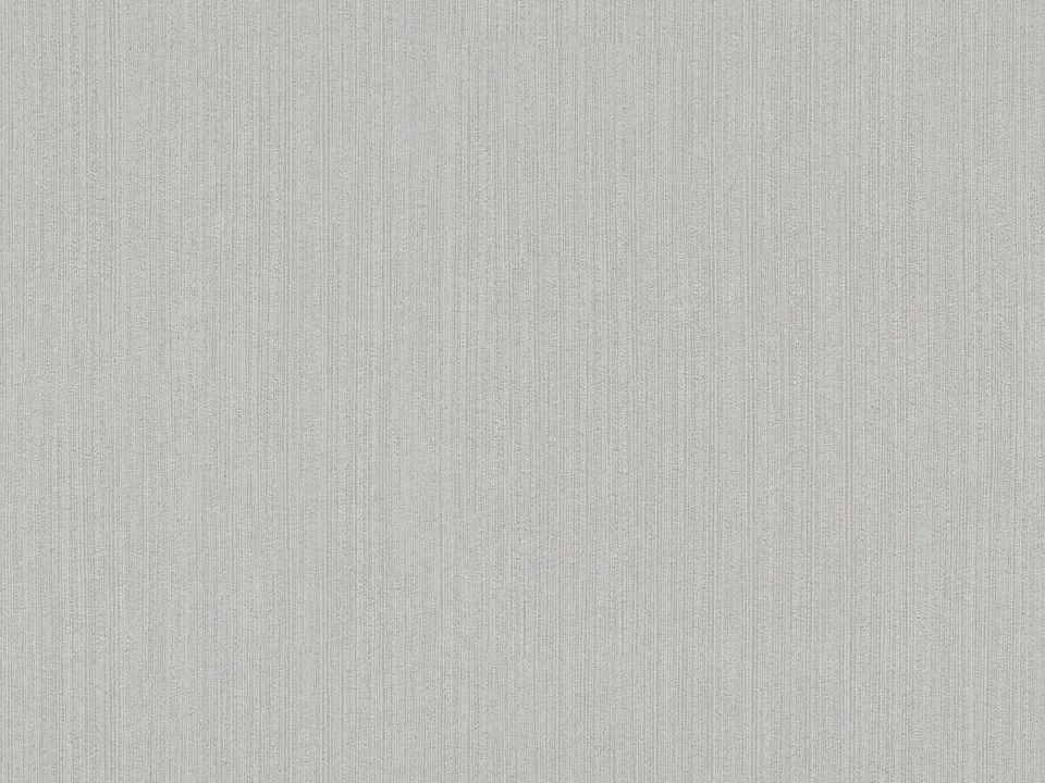 a-s-cr-ation-styleguide-vliestapete-uni-grau-937901-strukturtapete image 1
