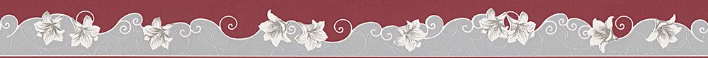 a-s-cr-ation-only-borders-bord-re-grau-rot-5-m image 4