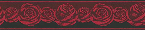 a-s-cr-ation-only-borders-10-36862-1-bord-re-rot-schwarz-5m image 4