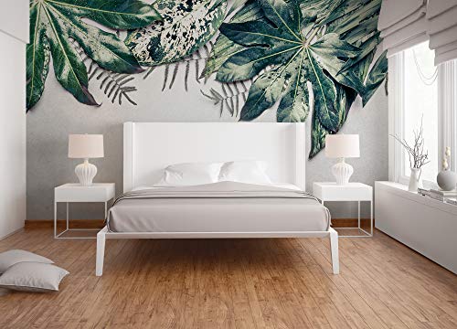 livingwalls-designwalls-118550-fototapete-bl-tter-gr-n-350x255cm image 8