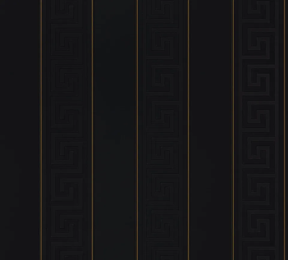 versace-home-greek-93524-4-vliestapete-streifen-schwarz-gold image 1