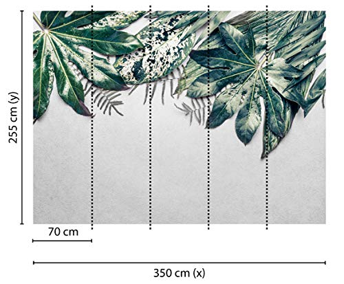 livingwalls-designwalls-118550-fototapete-bl-tter-gr-n-350x255cm image 6
