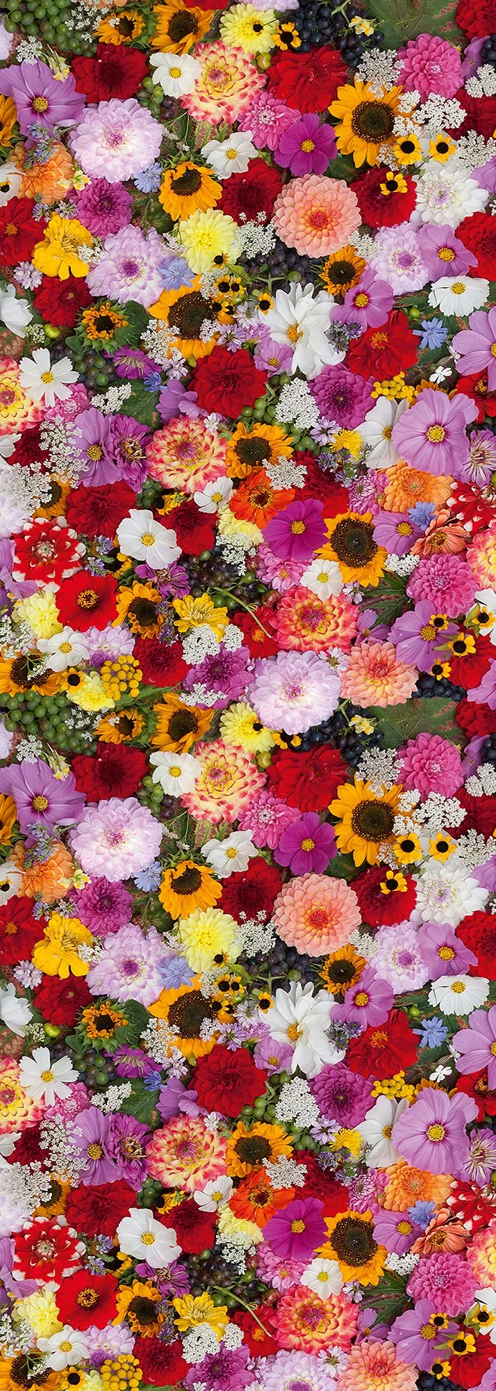a-s-cr-ation-flower-fragance-fototapete-1x2-8m-bunt image 1