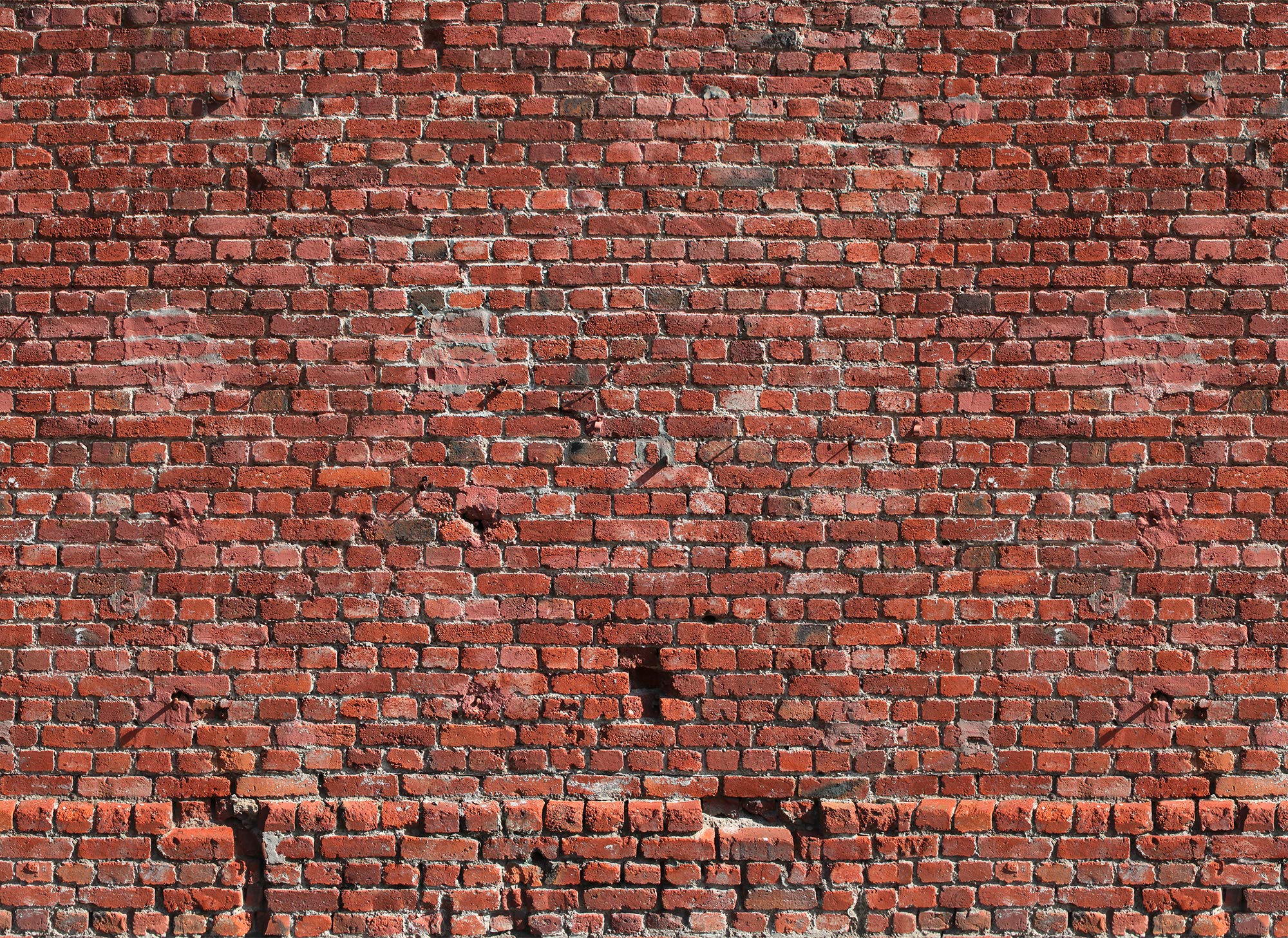 livingwalls-designwalls-118784-fototapete-steinoptik-rot-350x255cm image 1