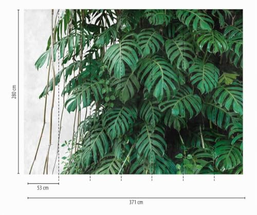 livingwalls-dschungel-fototapete-palmen-gr-n-grau-3-71x2-80m image 8