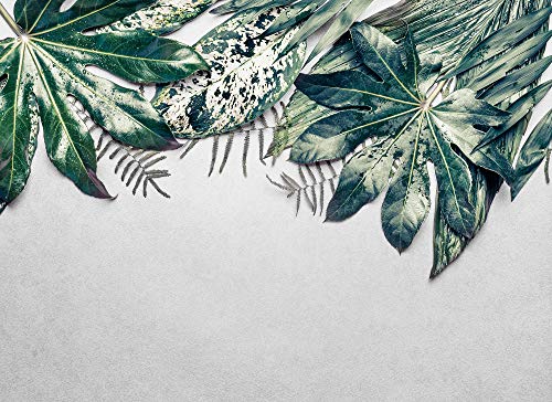livingwalls-designwalls-118550-fototapete-bl-tter-gr-n-350x255cm image 5