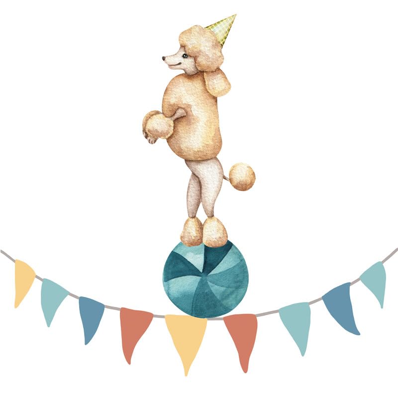 a-s-cr-ation-leinwandbilder-dd129379-zirkus-wimpel-bild-30x30 image 6