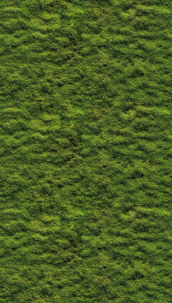 a-s-cr-ation-livingwalls-398391-fototapete-natur-gr-n-1-59m image 1