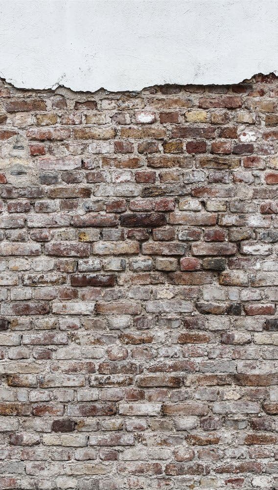 a-s-cr-ation-the-wall-fototapete-betonoptik-grau-wei-383391 image 8