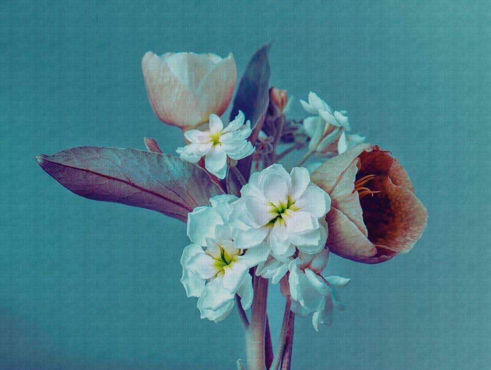 a-s-cr-ation-the-wall-fototapete-blumen-beige-3-71x2-80-m image 6