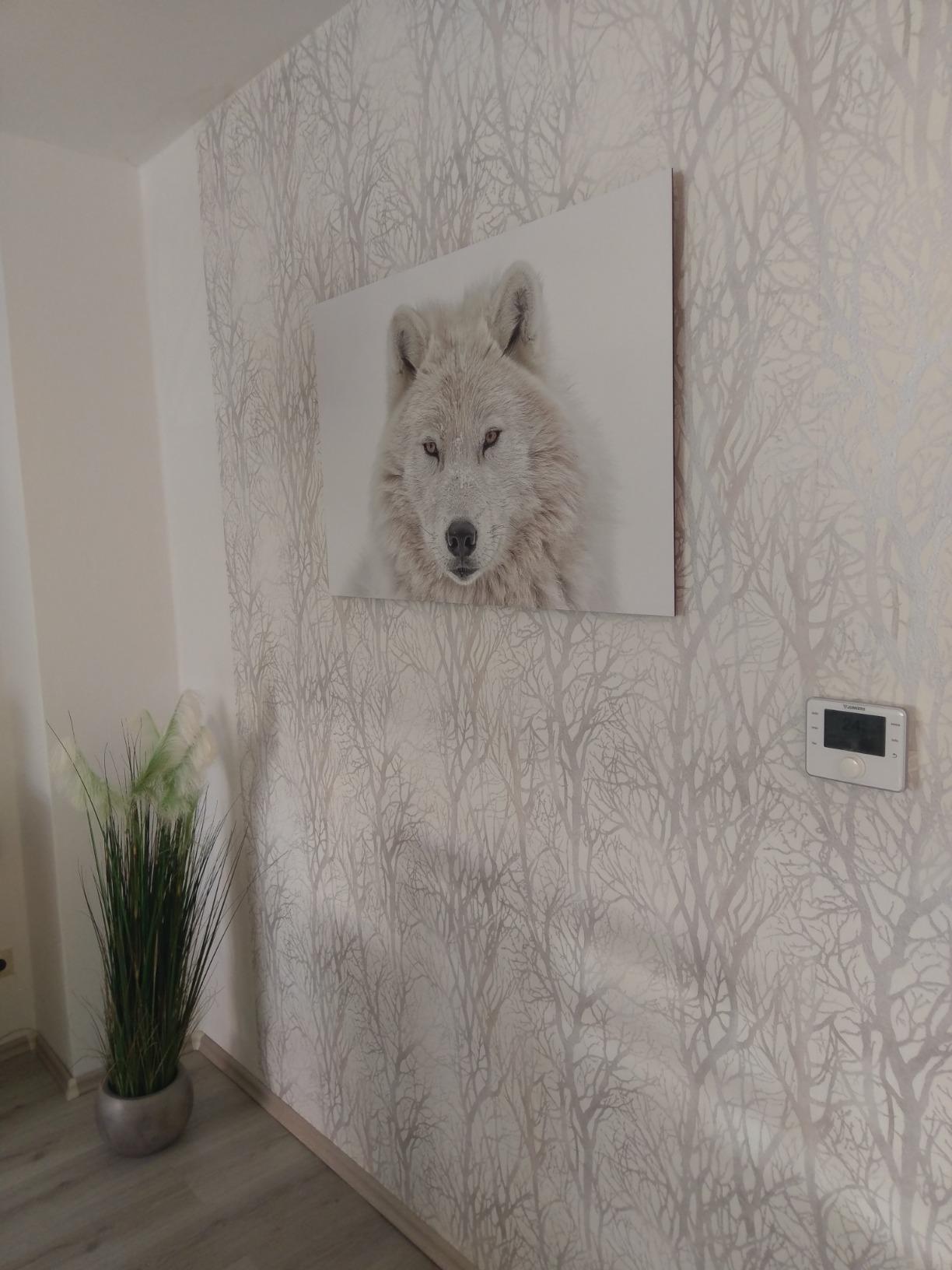 Modern