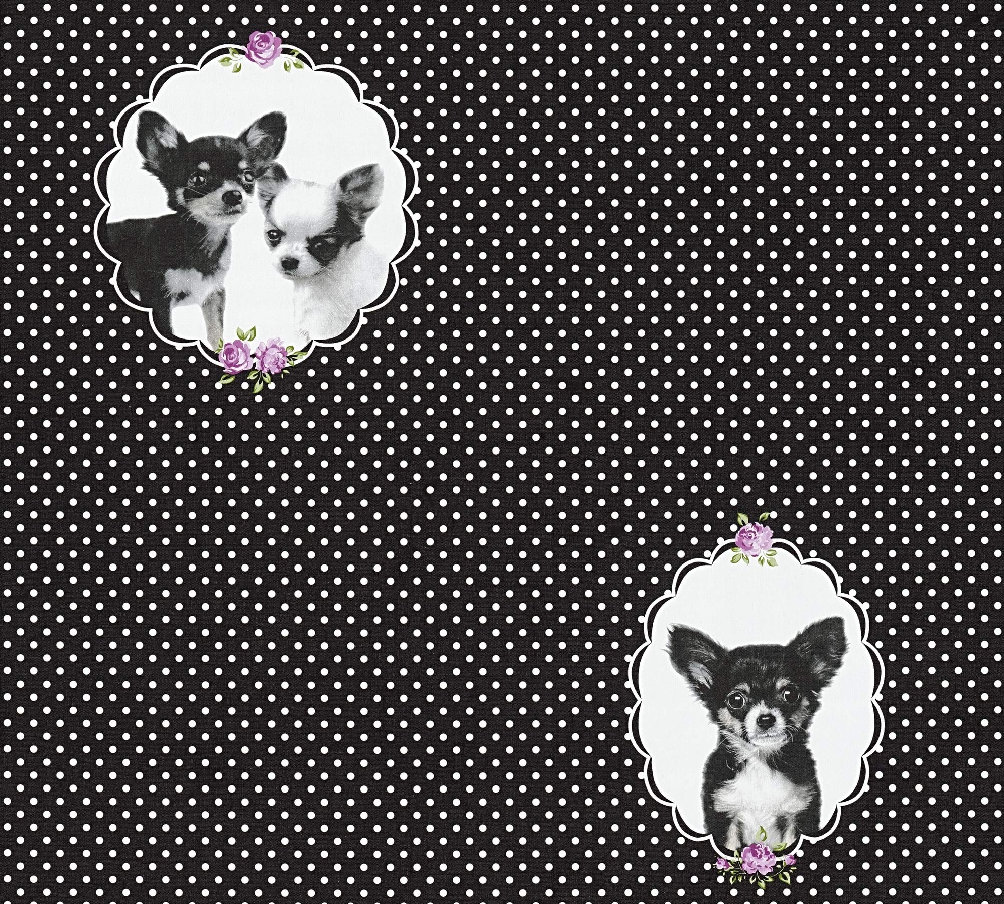 a-s-cr-ation-little-stars-35851-2-vliestapete-hunde-schwarz-lila image 2