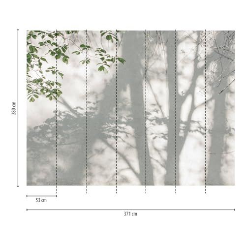 a-s-cr-ation-livingwalls-399251-fototapete-beton-gr-n-371cm image 6
