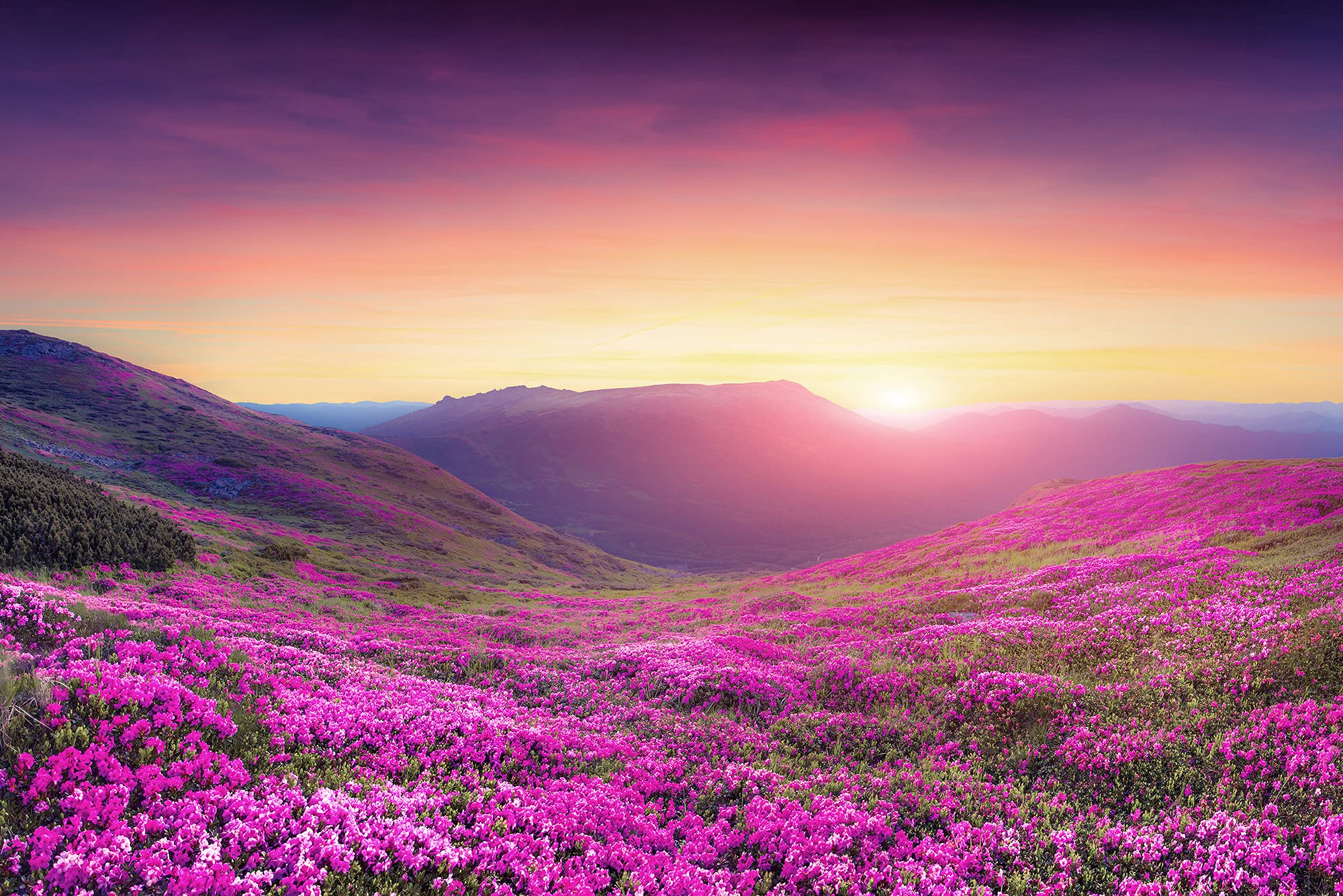 a-s-cr-ation-fototapeten-mountain-meadow-fototapete-4-00x2-67m image 1