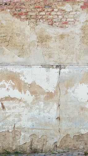 a-s-cr-ation-livingwalls-backstein-fototapete-wei-braun-280x159 image 7