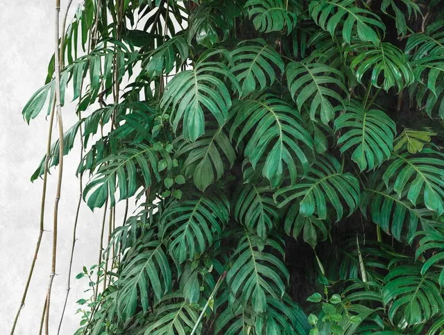 livingwalls-dschungel-fototapete-palmen-gr-n-grau-3-71x2-80m image 1