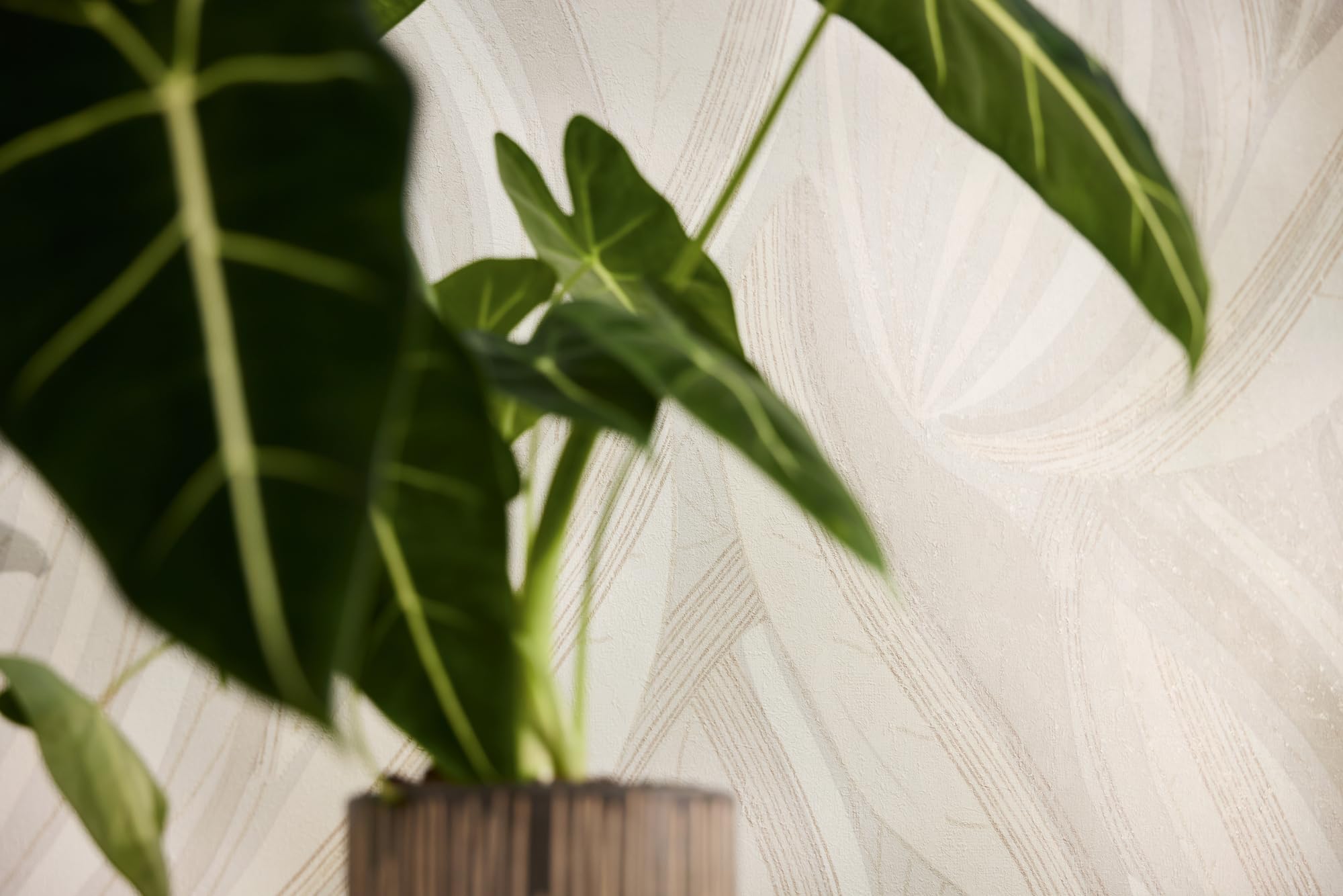 livingwalls-bl-ttertapete-waikiki-creme-beige-hellgrau-10-05-m image 5