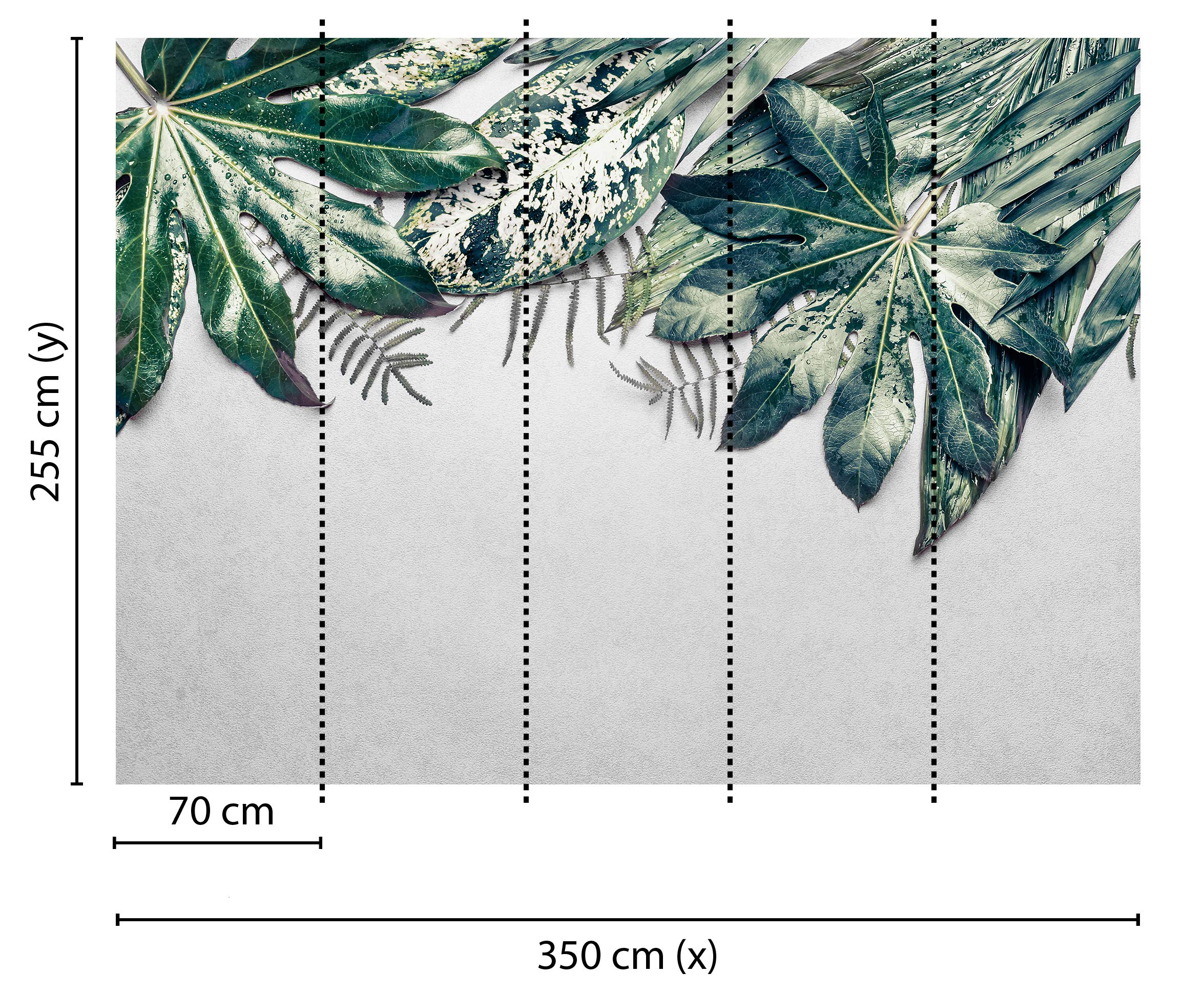 livingwalls-designwalls-118550-fototapete-bl-tter-gr-n-350x255cm image 2