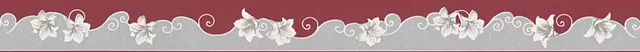 a-s-cr-ation-only-borders-bord-re-grau-rot-5-m image 1