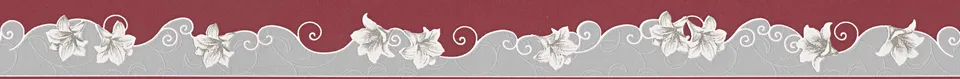 a-s-cr-ation-only-borders-bord-re-grau-rot-5-m image 1