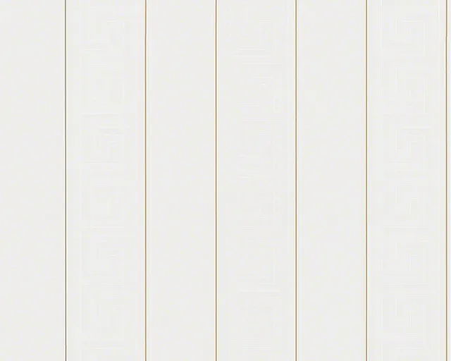 a-s-cr-ation-versace-935241-vliestapete-gold-white image 1