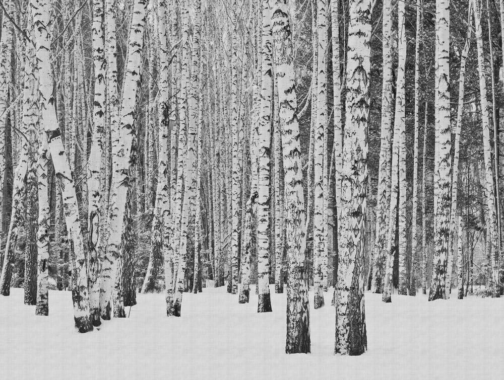 a-s-cr-ation-the-wall-fototapete-berge-gr-n-371x280cm image 8