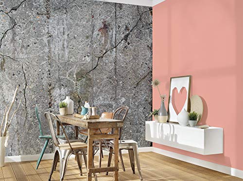 livingwalls-designwalls-fototapete-118791-beton-grau-xxl image 6