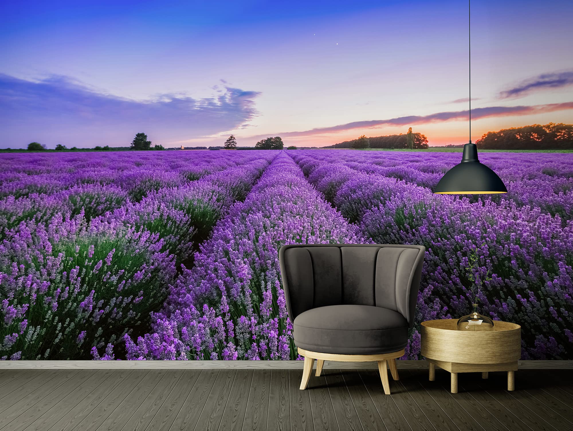 a-s-cr-ation-fototapeten-lavender-fototapete-4-00x2-67m-lila image 2
