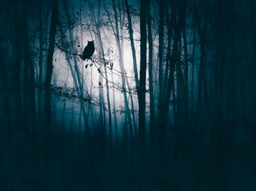 a-s-cr-ation-fototapeten-399091-fototapete-wald-blau-schwarz-3-71m image 4