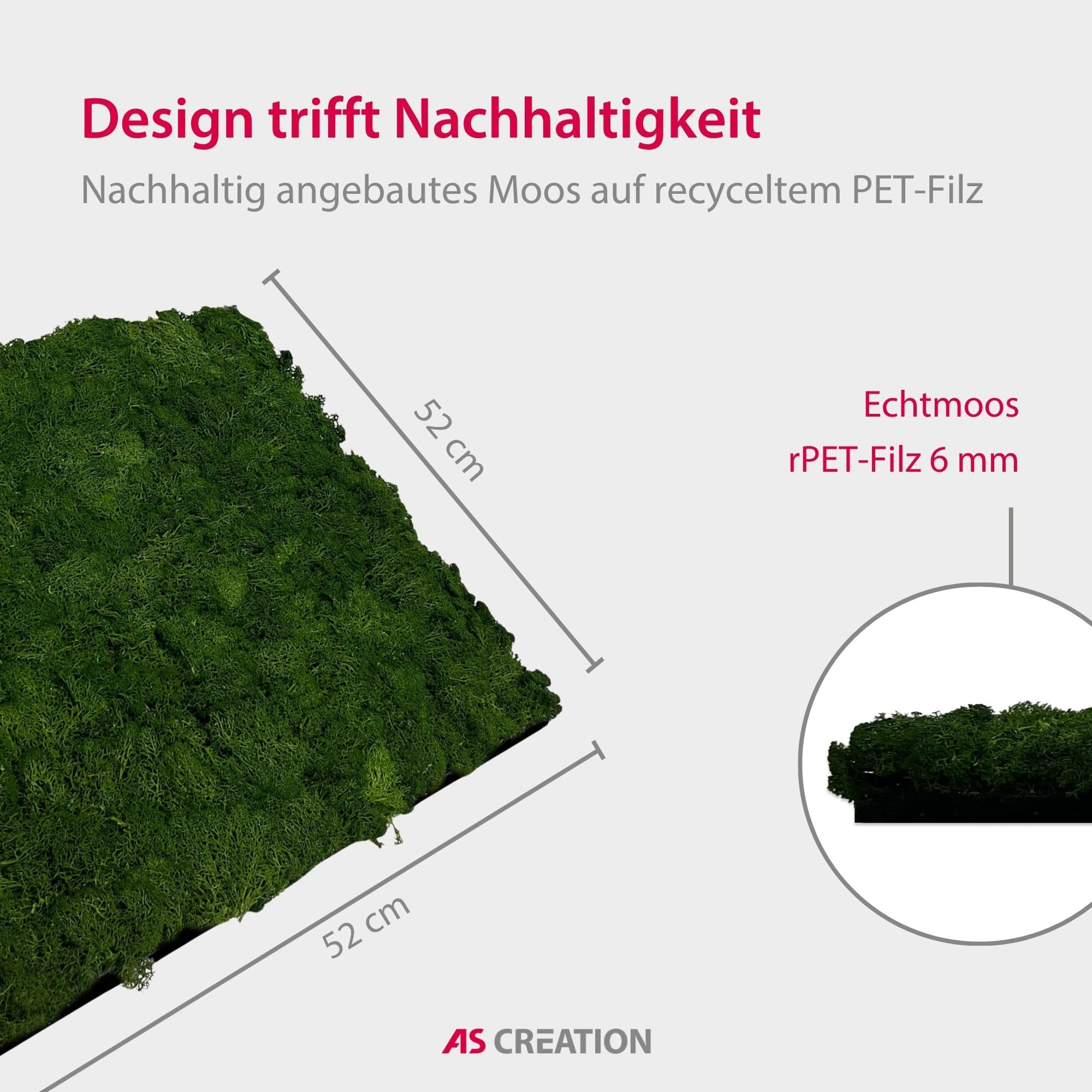 a-s-cr-ation-modular-wall-echtmoos-wandpaneel-52x52-dark-green image 4
