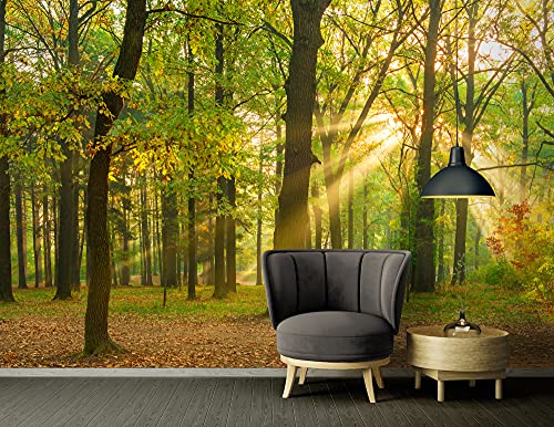 a-s-cr-ation-fototapete-oak-forest-gr-n-400x267-vlies image 4