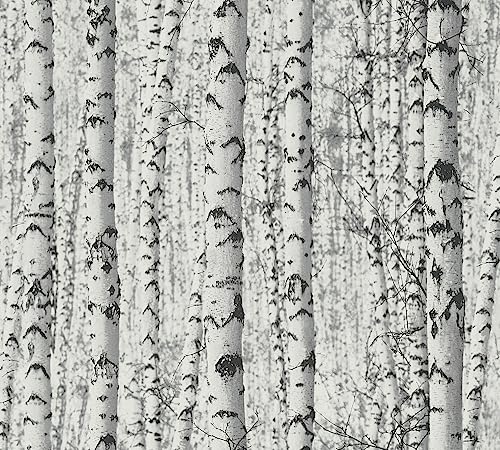 a-s-cr-ation-birkenwald-tapete-selbstklebend-schwarz-wei-0-52x2-5m image 5