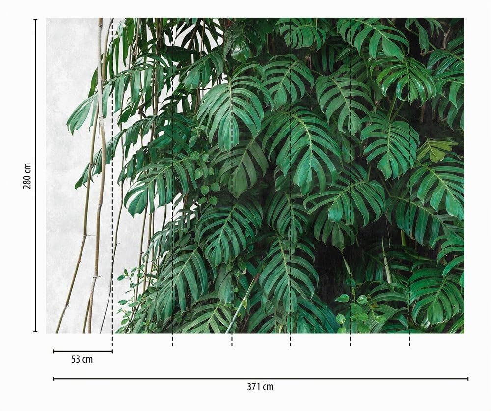 livingwalls-dschungel-fototapete-palmen-gr-n-grau-3-71x2-80m image 2