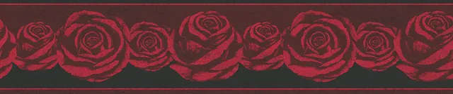 a-s-cr-ation-only-borders-10-36862-1-bord-re-rot-schwarz-5m image 1