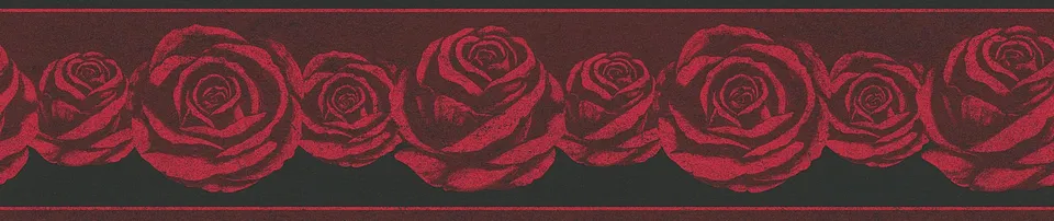 a-s-cr-ation-only-borders-10-36862-1-bord-re-rot-schwarz-5m image 1
